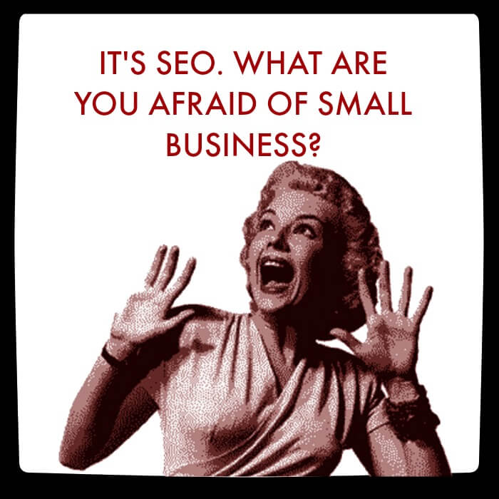 It's SEO. What are you afraid of small business?