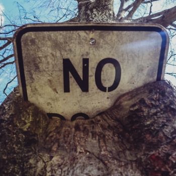 a roadsign that says no has been overgrown in a tree. it juts out, a little like the hidden mental health stigma in society