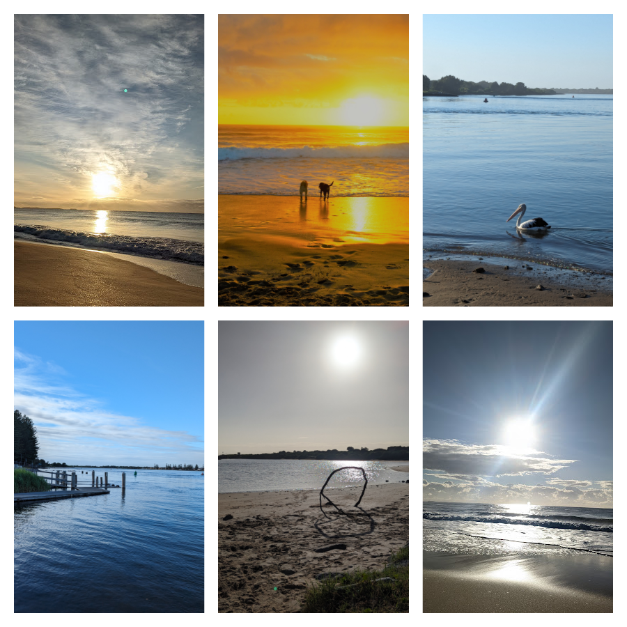 shots of the sun rising over the beach, two dogs playing at dawn, a pelican swimming in a lake, a blue lake with a jetty, a wood sculture on a hot sunny beach and sun through clouds at windang beach